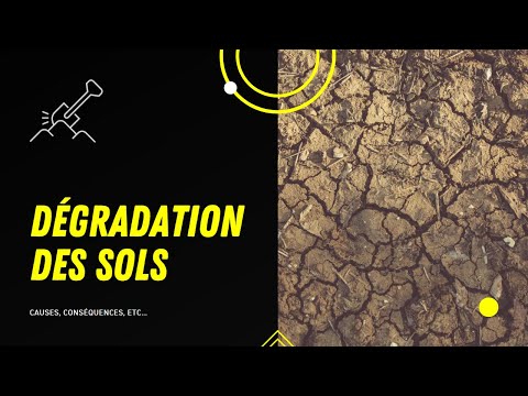 Vidéo: Comment résoudre le problème de la dégradation des sols ?