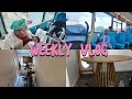 Weekly vlog- I got a bike, we finally have a dinning set ,my account was closed, 8weeks immunization