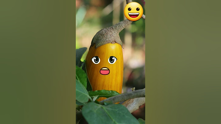 Ganesha kon the 🙏😳||vishvi official ||#trending #emotional #ganesh #shorts #youtubeshorts