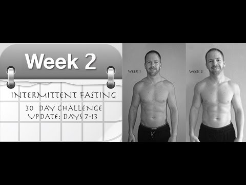 Intermittent Fasting 30 Day Challenge: Week 2 Update - YouTube
