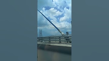 Cao tốc qua  câu  Mỹ thuận 2