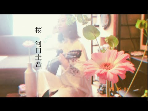 【桜 /河口恭吾】ハマノユリナ （short version）《女性が歌う》