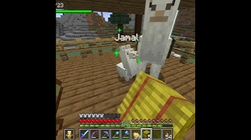 Day 7 of breeding llamas in Minecraft