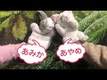 あるる〜Animal Girls〜 日本橋オタロード店