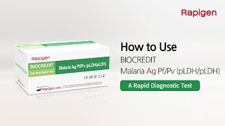 [Rapigen]How to use Malaria Ag PfPv pLDH_pLDH
