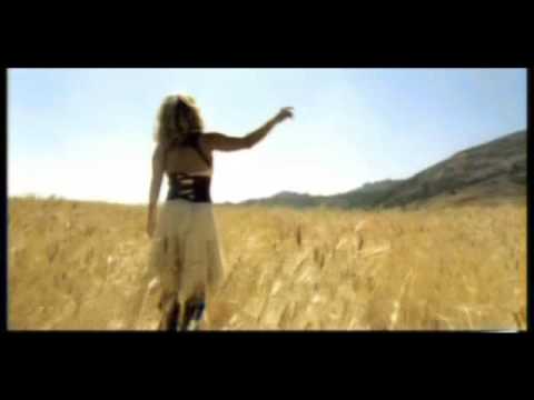 حلمي حلم الطيور