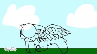 Random test animation 