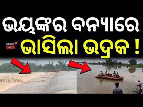 ଘରେ ପଶିଲା ବନ୍ୟା ପାଣି ! Floodwater Enters Villages in Bhadrak | Salandi Flood | Bhadrak | Flood News