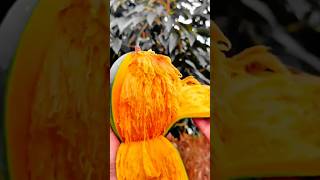 slicing and peeling a ripe mango with a knife to show the soft orange flesh in the garden clearly