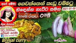  ගමේ රසට ගෙවත්තෙන් කැඩු වම්බටු හිඳෙන්න නැට්ට සමග උයමු Wambatu curry (homegrown brinjal) by Apé Amma