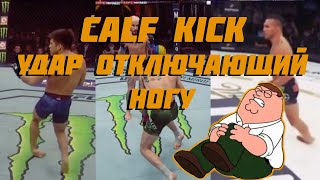 CALF KICK-Удар отключающий ногу.  Почему проиграл Шон О’Мэлли.