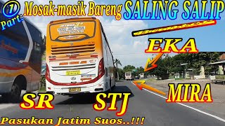 STJ mowgli, EKA, MIRA, SUGENG RAHAYU~Bar-Bar‼ dipertemukan Sesama Bus jatim | komando jalan Los2an👍🏁