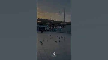 طريق رضاك متجهي ونور هداك معتصمي 