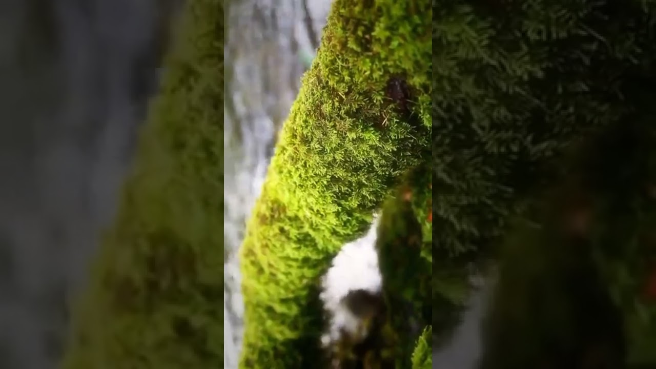 Bagong bayani (sender Grace) #bisayadrama  #ofw #bisayastyle