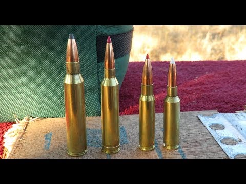 6 5 creedmoor VS 308 Win VS 7mm Rem Mag VS 338 Lapua Mag Disparos a 1000 .....