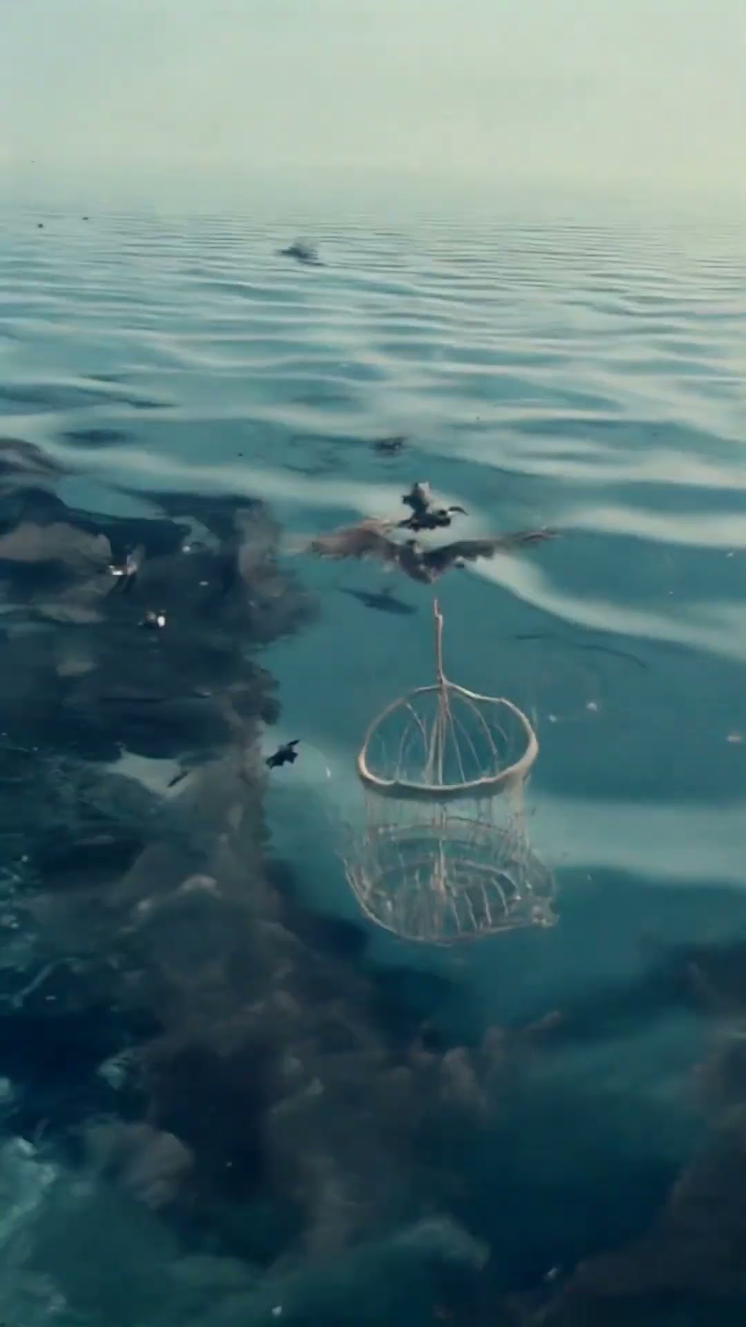 Kwebbelkop AI made Birds Fish FOR HIM!?