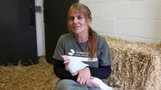 Farm Sanctuary - Membership Month Challenge