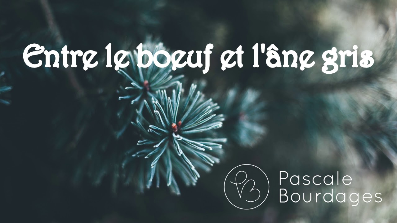 Entre le boeuf et l'âne gris - Pascale Bourdages - YouTube