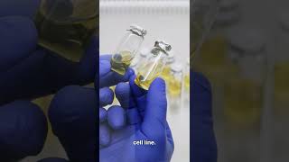 Image of RFK Jr. Sparks New Debate Over MMR Vaccine and Abortion-Derived Cell Lines video