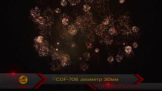 CGF-706 2012