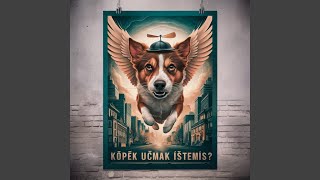 Köpek Uçmak İstemiş