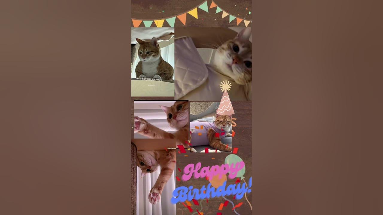 생일 축하합니다 saeng-il chukhae Kim HongShi. Dangam Hye Yoon 🤣😂 Oma Apa Unnie Hongshi?? 🥰 🥳 #kimhyeyoon