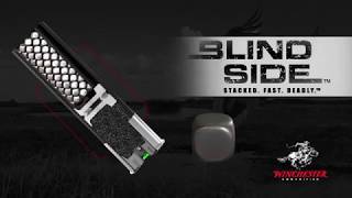 Blind Side Bullet Points