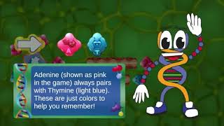 Gene Mutations with DNA Rush - Science Game for Grades 6-8