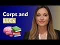 Corporations And LLCs Highly Tested Issues Multistate Essay Exam Topics