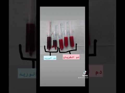 الفرق في لون الدم بين الشريان و الوريد