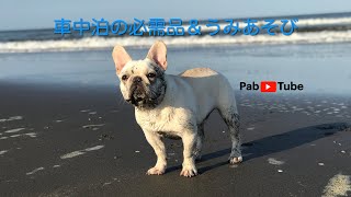 フレンチブルドックパブロの車中泊必需品＆海遊び再開の巻