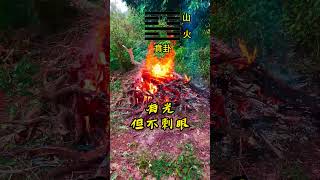 為什麼有些人,越看越空?|賁卦
