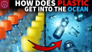 Celebrity Why so MUCH Plastic Ends up in the Ocean Wealth