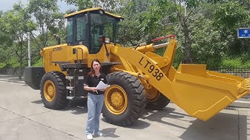 LTMG LT938-FOPS & ROPS