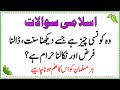 Islamic common sense paheliyan in urduhindi  general knowledge  dilchasp islami maloomat quiz173