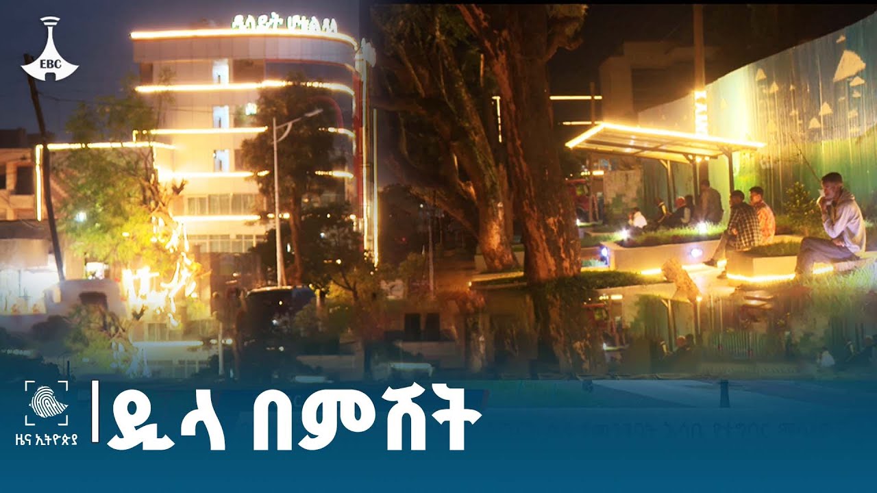 የዲላ ከተማ የምሽት ድባብ Etv | Ethiopia | News zena