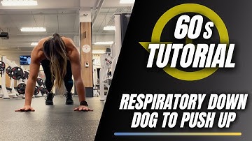 Push up to Down Dog (60s Tutorial)