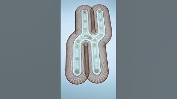 Mirrored U’s Creating a Shared Path #spirographshr #satisfying #spirograph #asmr #usa #art