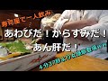 長崎『むつごろう』50代男の大型大衆寿司屋で寂しい一人晩酌。