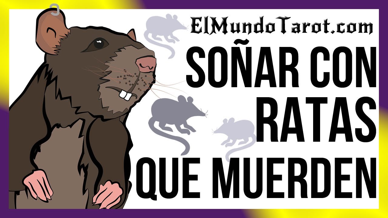Que Significa Soñar Con Ratas Que Te Muerden