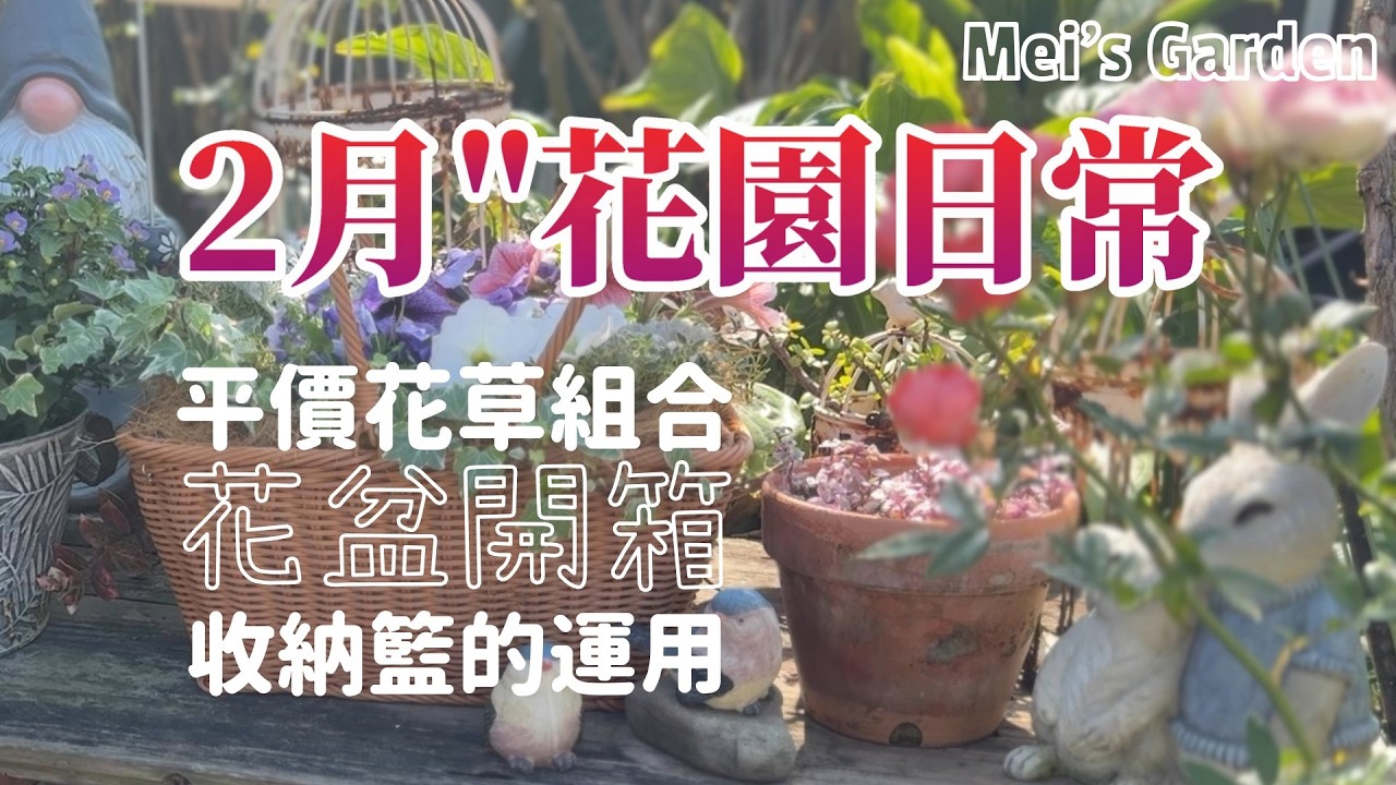 平價的花草組合|花盆開箱|收納籃的運用|DIY
