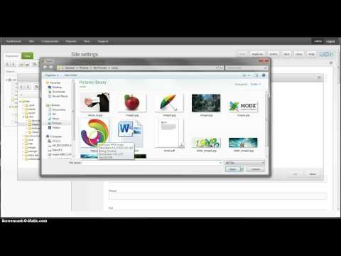 Xceed Web Development