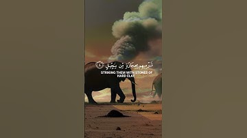 سورة الفيل - al-Fil - The Elephant #القرآن_الكريم #آيات_من_القرآن #سورة_الفيل #quran