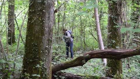 Checking for Dormice