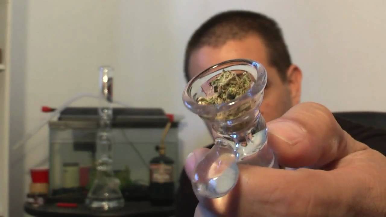 San Diego Weed Review #11: Altitude Organic's Poison OG and Platinum OG