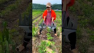 Having such a tool will make destroying crops much easier #farmingtools #agriculture #shorts