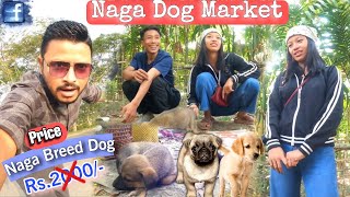 Naga Dog Market কেতিয়া বহে জানেনে? Naga Breed Dog পাব কম Priceত || Jorhat Assam || Assamese Video