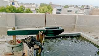 water Powered Pounder Corn mill live