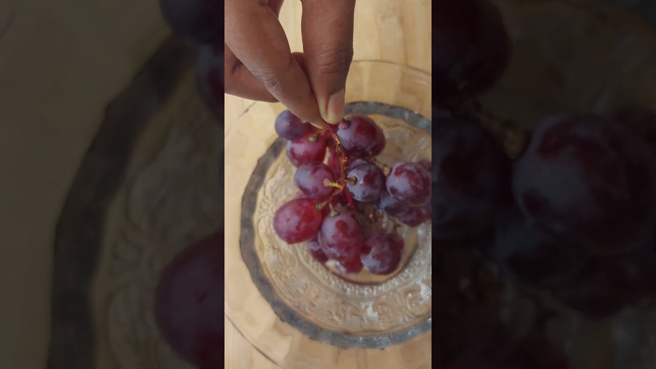 Enjoy Beautiful  Nature of Life Vitis vinifera 