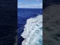Back of the ship #ship #sea #ocean #trending #viral
